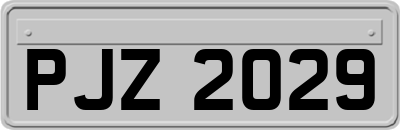 PJZ2029