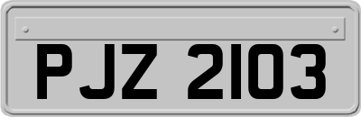 PJZ2103