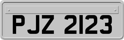 PJZ2123
