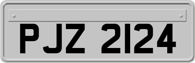 PJZ2124