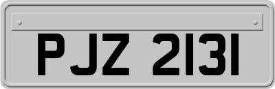 PJZ2131