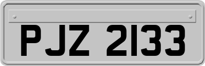 PJZ2133
