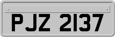 PJZ2137