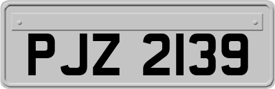 PJZ2139