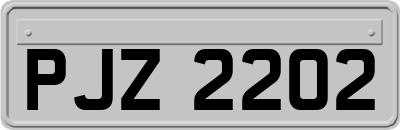 PJZ2202