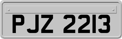 PJZ2213