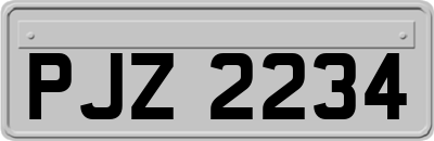 PJZ2234