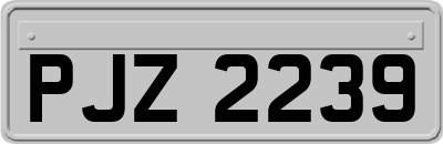 PJZ2239