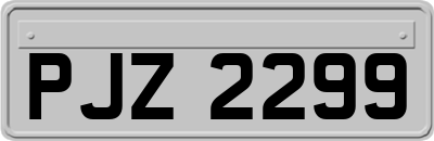 PJZ2299