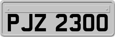 PJZ2300