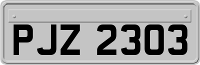 PJZ2303