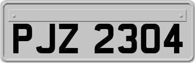 PJZ2304