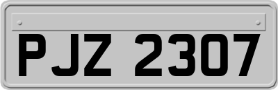 PJZ2307