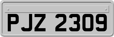 PJZ2309