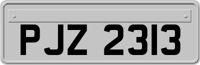 PJZ2313