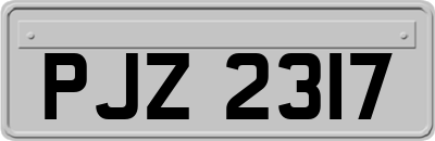 PJZ2317
