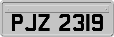 PJZ2319