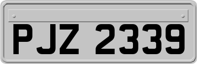 PJZ2339