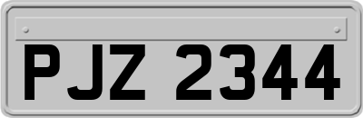 PJZ2344