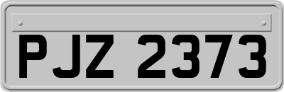 PJZ2373