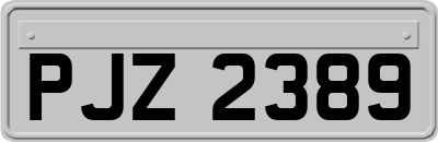 PJZ2389