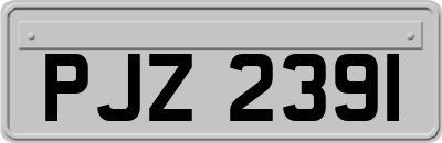 PJZ2391