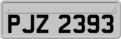 PJZ2393