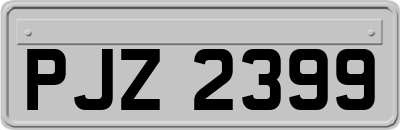 PJZ2399