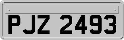 PJZ2493