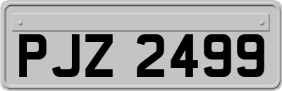 PJZ2499