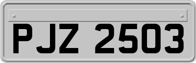 PJZ2503