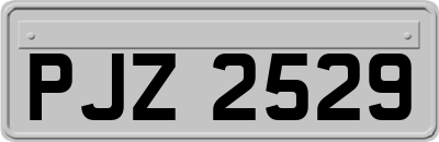 PJZ2529