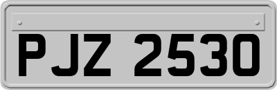 PJZ2530