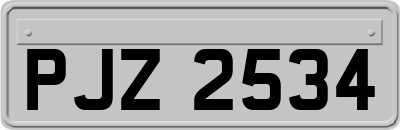 PJZ2534