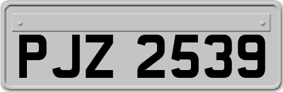 PJZ2539