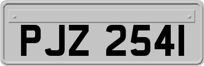 PJZ2541