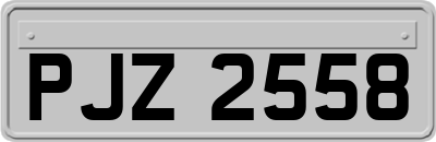 PJZ2558