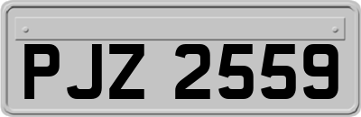 PJZ2559