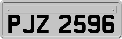 PJZ2596