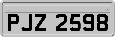PJZ2598