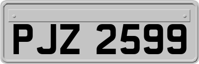 PJZ2599