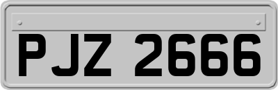 PJZ2666