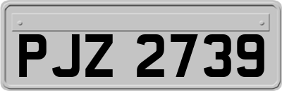 PJZ2739