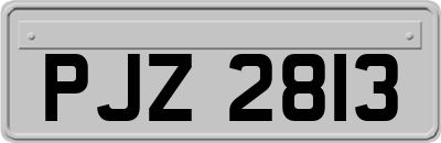 PJZ2813