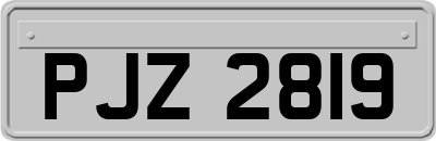 PJZ2819