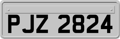PJZ2824