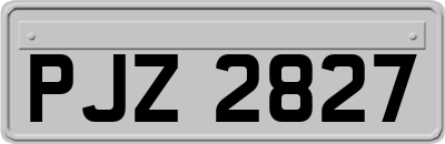 PJZ2827