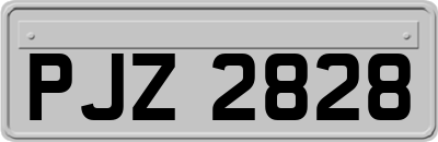 PJZ2828