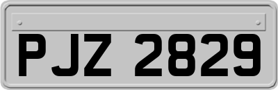 PJZ2829