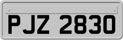 PJZ2830